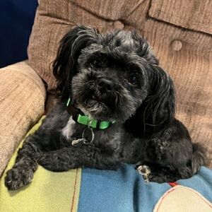 Meet your Posher, Barb